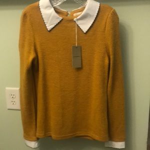 Sweater with collar